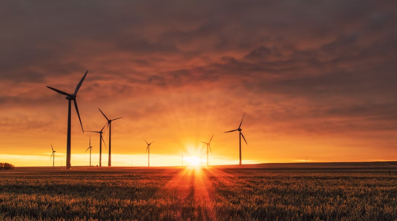 Cómo afecta el clima en la construcción
