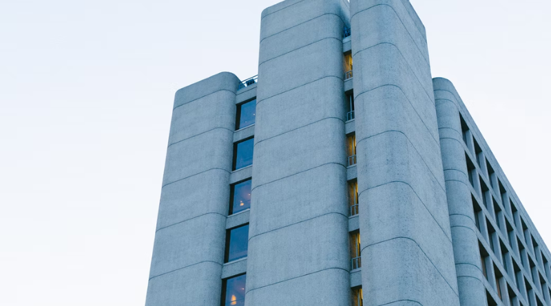 Importancia de los proyectos de rehabilitación